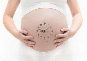 Определение срока беременности