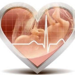 Каким должно быть сердцебиение плода на ранних сроках беременности?