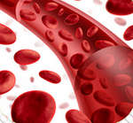 Кровеносные сосуды