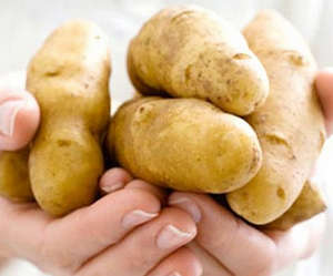 Картофель в руках