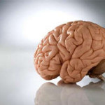Лекарственные средства для улучшения работы мозга и памяти