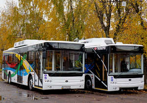 Два автобуса