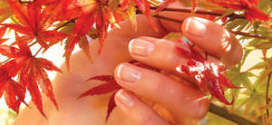 Рука и осення листва