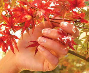 Рука и осення листва