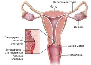 Удаление матки и яичников последствия