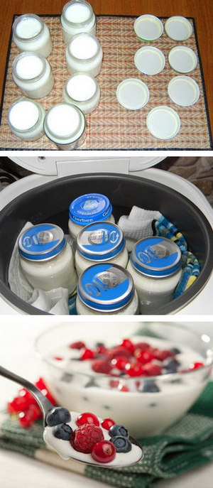 Процесс готовки йогурта с ягодами