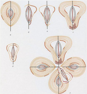Схема плетения орхидеи из бисера