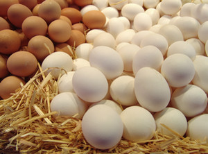 Белые и красные яйца в соломе