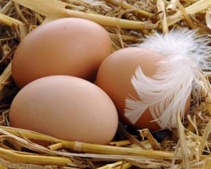 Три яйца с пером в соломе