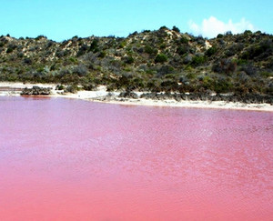Берег Розового озера