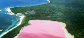 Розовое австралийское озеро с высоты