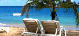 Два шезлонга на пляже под пальмой