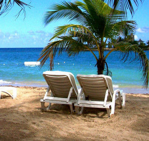 Два шезлонга на пляже под пальмой