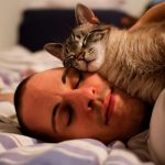 Сон – состояние, вызывающее интерес у ученых