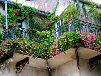 Украшение для фасада: цветущие цветы на балконе