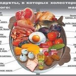Влияние продуктов на уровень холестерина