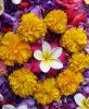 Цветы в Индии. Украшения из цветов