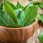 Лавровые листья – полезная приправа и лекарственное средство! Как применяют отвар из лаврового листа