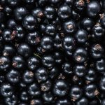 Черная смородина — польза и вред ароматной ягоды. Полезные свойства, лечебные свойства, витамины смородины, противопоказания