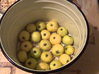 Рецепт моченых яблок на зиму в ведре 