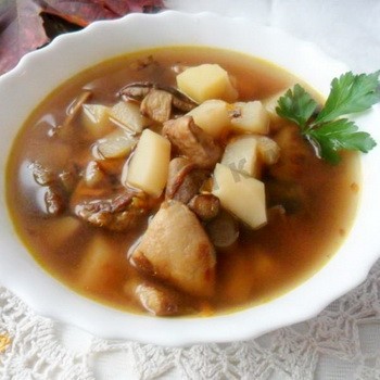 Как варить грибницу из маслят: рецепты вкусных супов