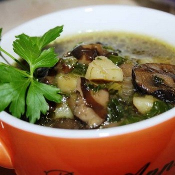 Грибной суп из свежих маслят: рецепты русской кухни
