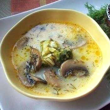 Сырные супы с шампиньонами: рецепты первых блюд