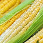 Как заморозить кукурузу в зернах