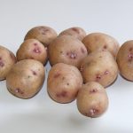 Картофель «Аврора»: описание сорта, достоинства и недостатки. Как получить высокий урожай картофеля «Аврора»