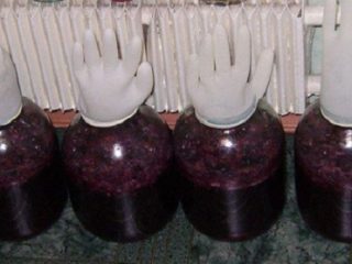 Приготовление вина из винограда в домашних условиях: рецепт