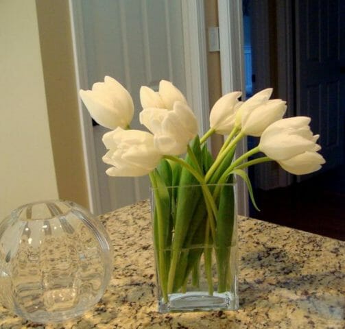 Как сохранить тюльпаны в вазе: способы продолжения жизни срезанных цветов