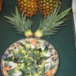 Как посадить и вырастить ананас в домашних условиях – важные моменты. Стимуляция цветения при выращивании ананаса дома