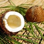 Кокосовый орех или кокос: полезен или вреден? Калорийность, польза и вред кокоса, и его влияние на здоровье детей и взрослых