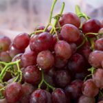 Виноград сорта для средней полосы России – характеристики сортов, описание. Выращивание винограда в регионах с суровыми зимами