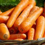 Выращивание моркови – проще простого! Способы посева моркови, последующий уход, основные болезни и вредители корнеплода