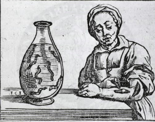 Применение медицинских пиявок. Гравюра из медицинской книги 1639 года.