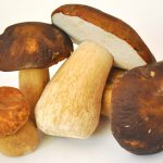 Жареные грибы с луком: правильная технология приготовления. Пошаговый фото-рецепт приготовления жареных шампиньонов с луком