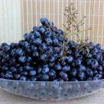 Компот из винограда: как варить правильно? Пошаговый фото-рецепт простого компота из винограда