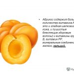 Абрикосы: польза и вред солнечного плода. Польза абрикосов в сочетании с низкой калорийностью = диетический продукт