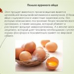 Можно ли пить сырые яйца: в чём польза продукта для здоровья. Можно ли пить сырые яйца: плюсы и минусы процедуры