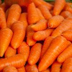 Вареная морковь: польза и вред яркого овоща. Как выбрать и сварить морковь правильно, для максимальной пользы
