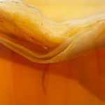 Как ухаживать за чайным грибом? Как приготовить приятный напиток: содержание, выращивание и уход за чайным грибом