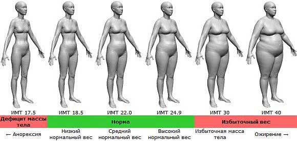 Абдоминальный тип ожирения