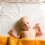  Формирование позвоночника у новорожденного: какие условия в приоритете