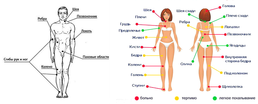 Схема на которых показаны точки максимальной и минимальной болезненности на теле человек