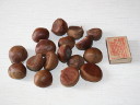 Каштан (chestnut) снаружи