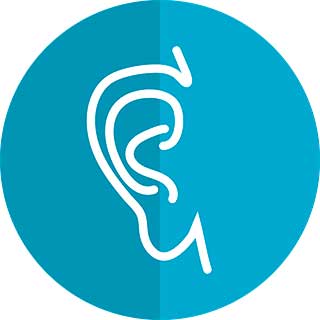 изображение уха