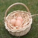 Яйца спасут от инсульта