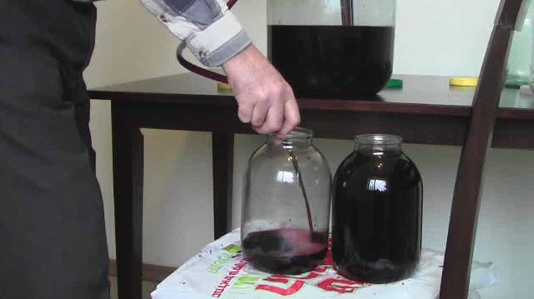 Для здоровья тела и духа: рецепты вина из винограда  в домашних условиях