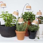 Как правильно создать освещение для комнатных растений